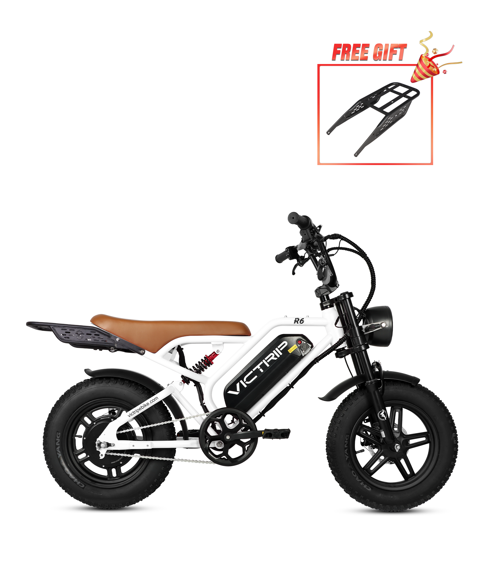 Cheap Moped Style Electric Bicycle | VICTRIP