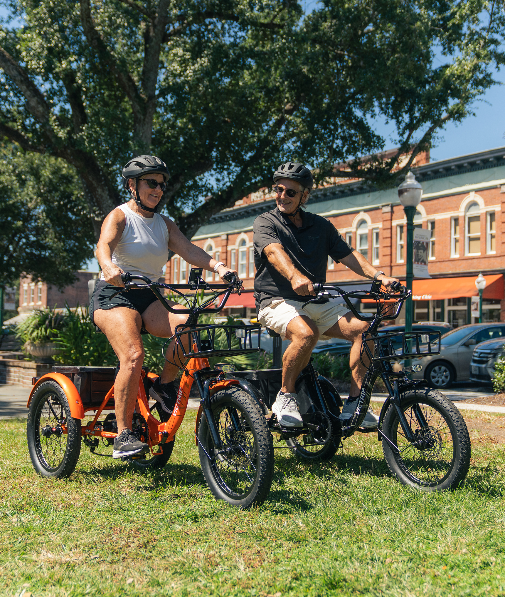 Electric 3 Wheel Bike | VICTRIP