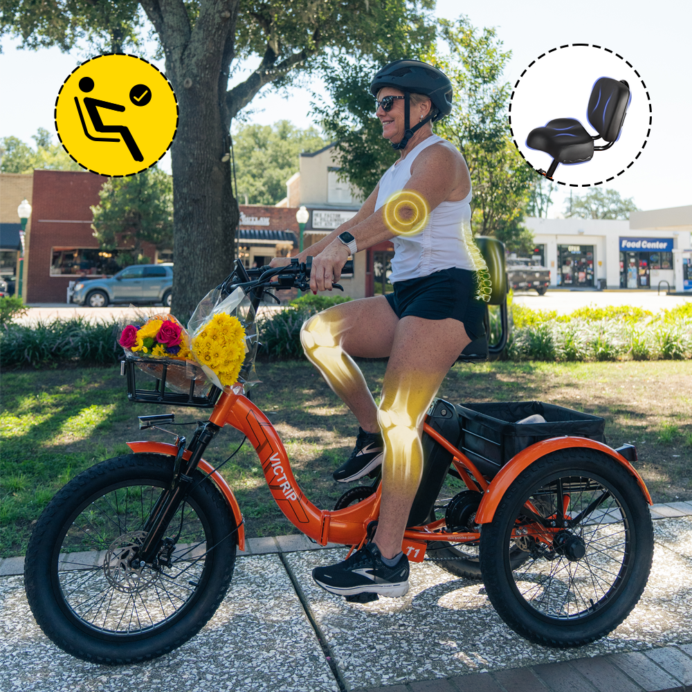 Three Wheel E Bike | VICTRIP