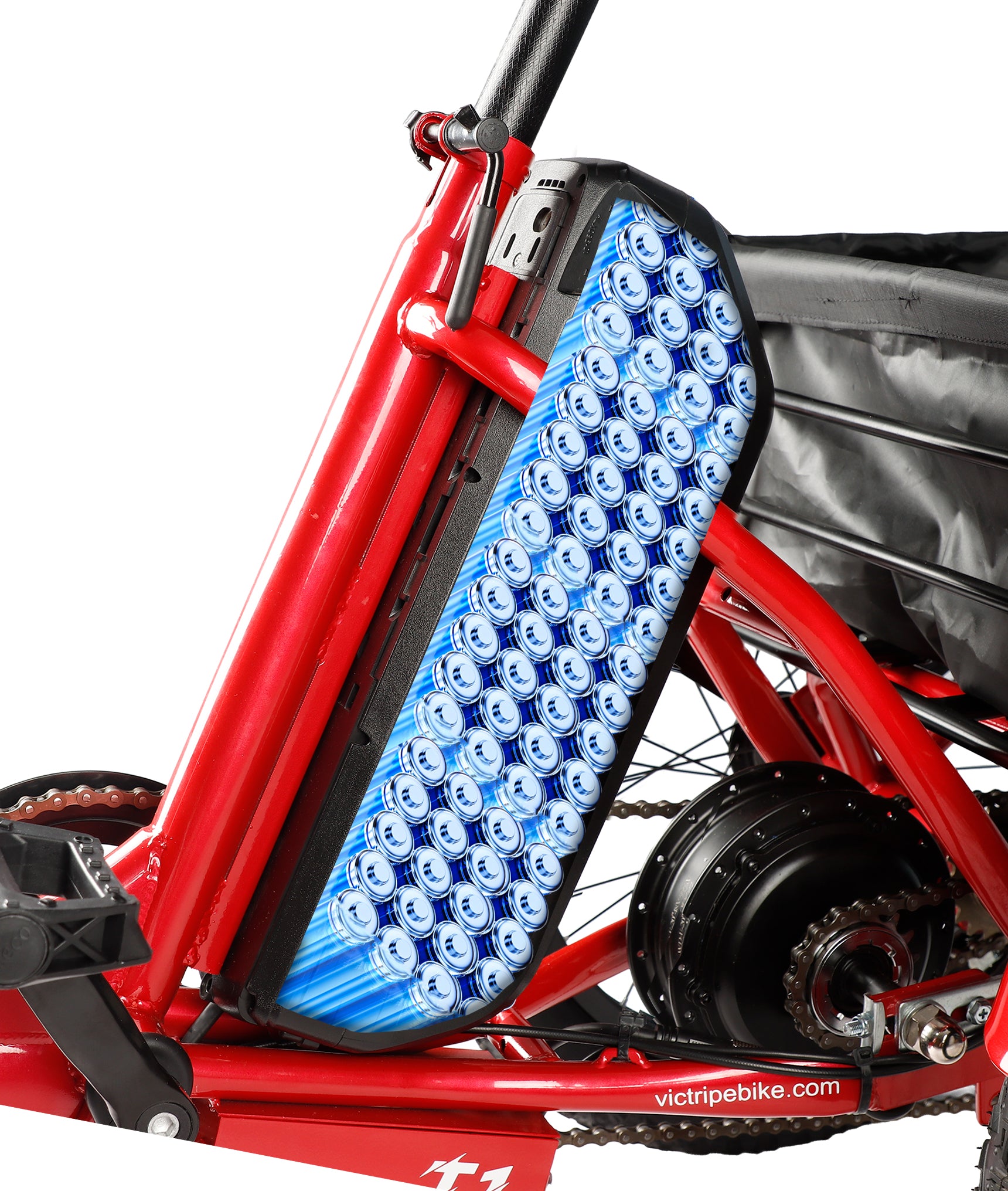 Adults 3 Wheel Electric Bicycle | VICTRIP