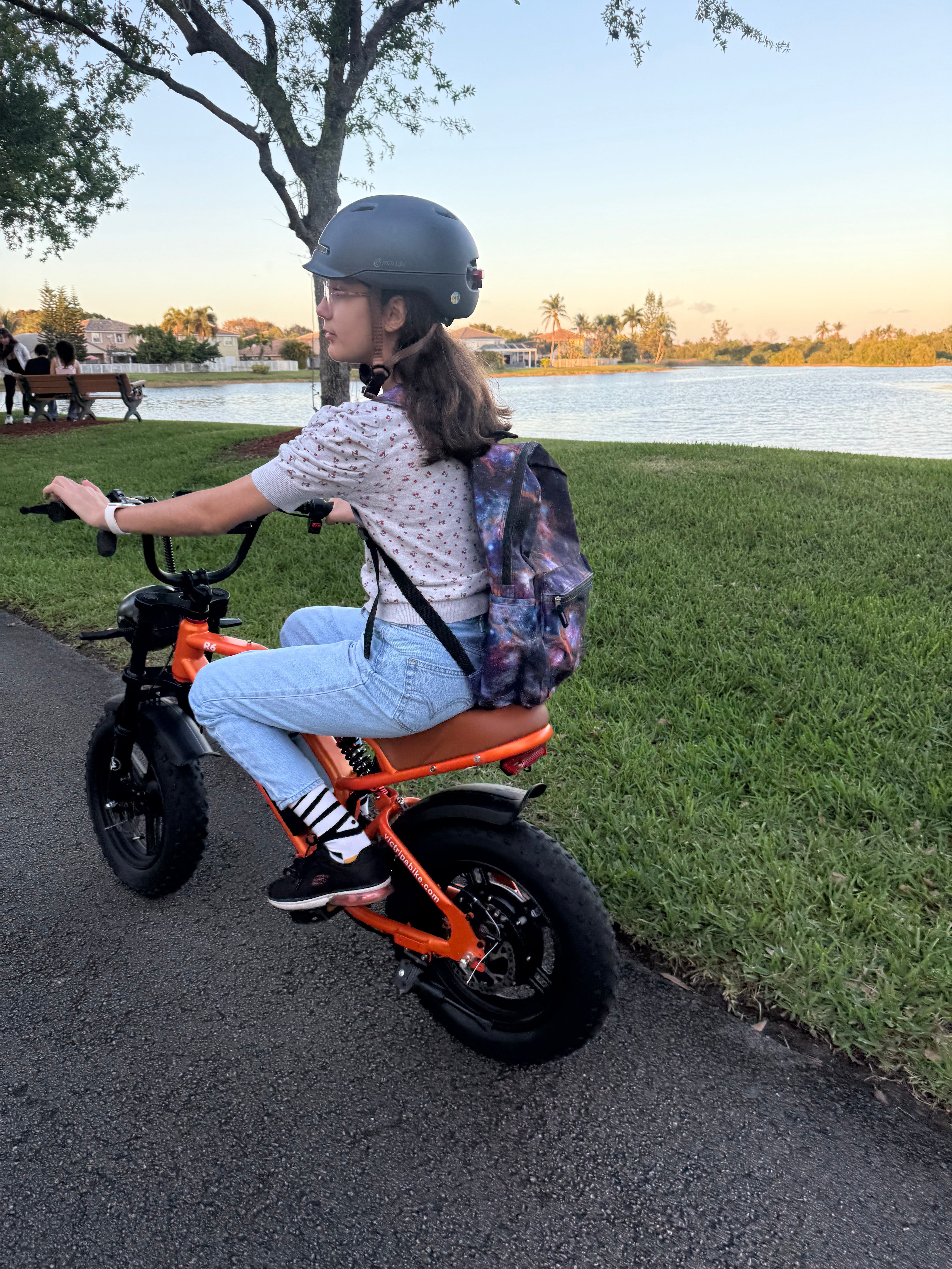 Safe & Stylish 16 Inch Electric Mini Bike for Young Riders