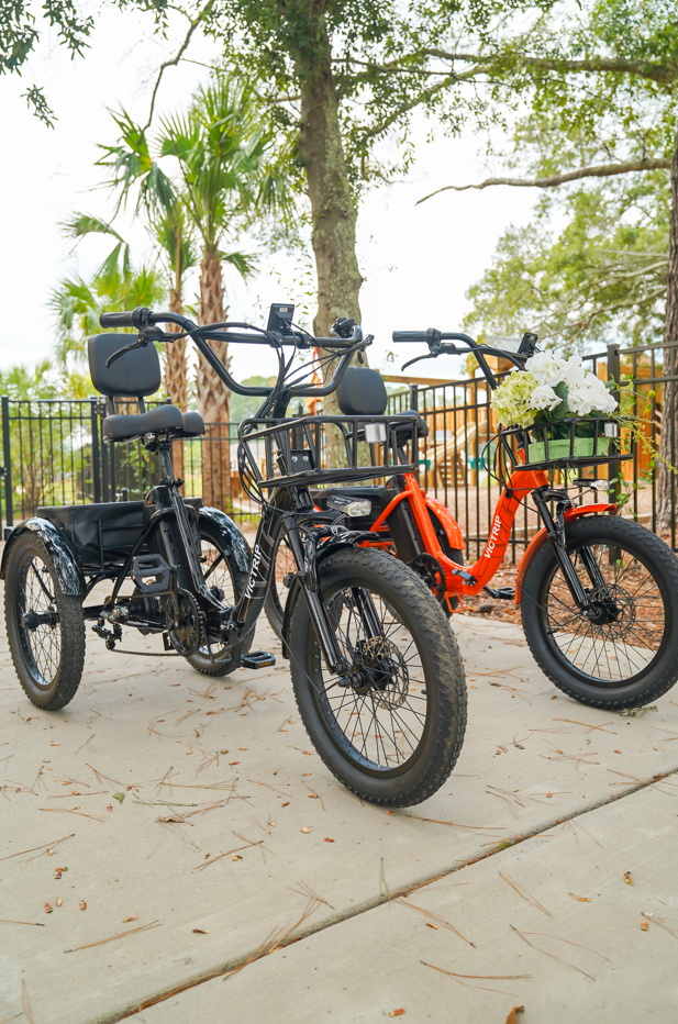 Folding Electric Trike 500W | VICTRIP