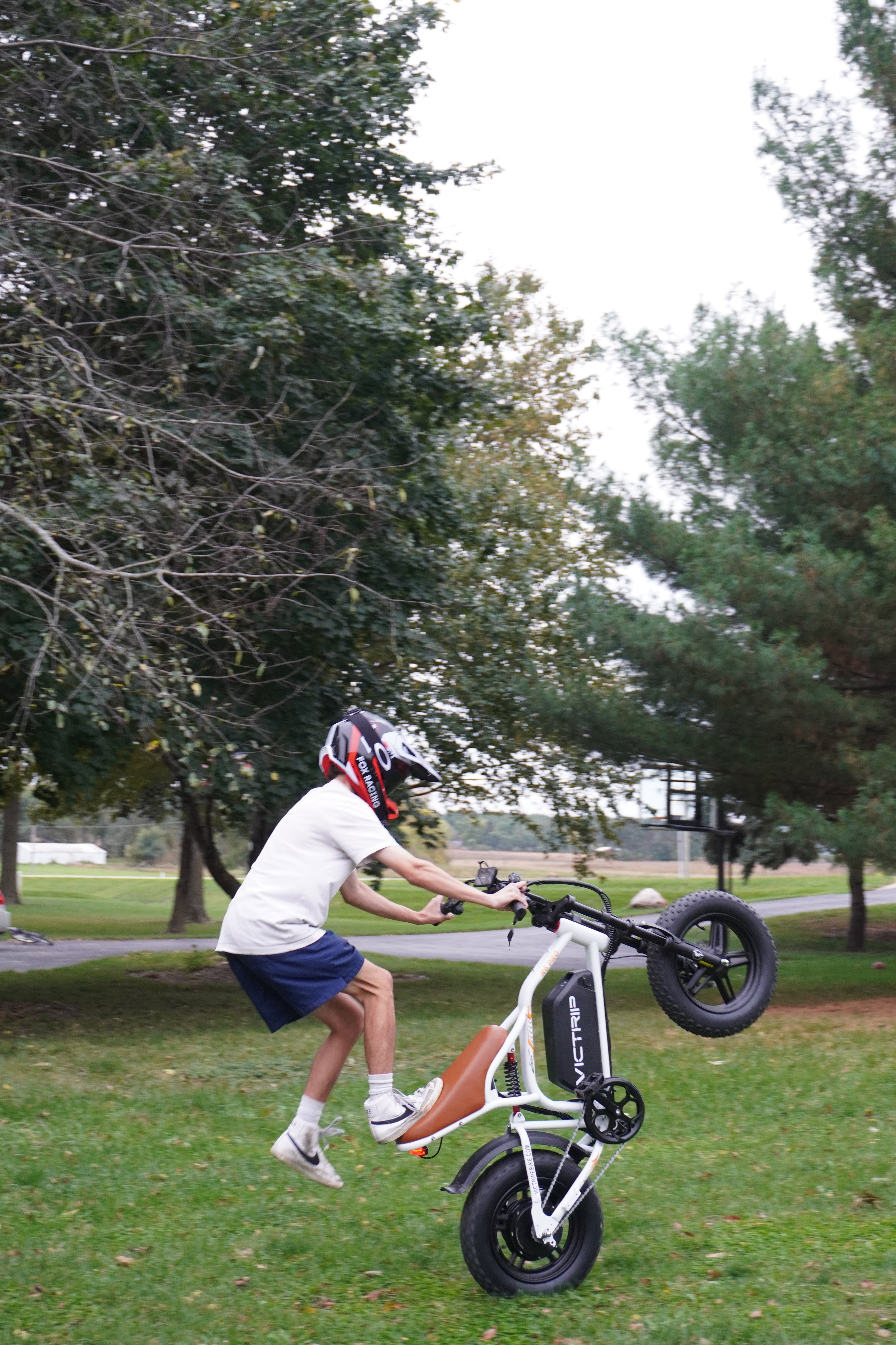 Best Moped-style E Bike | VICTRIP