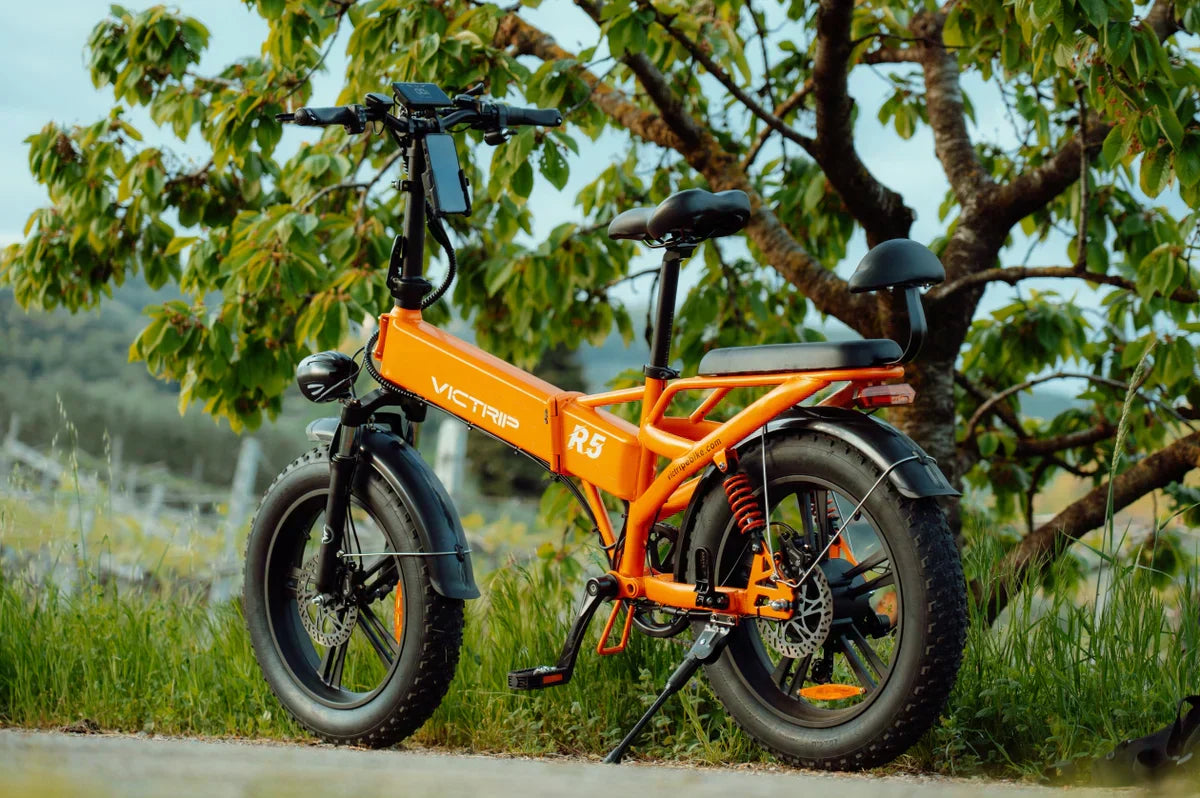 Folding City Electric Bike | VICTRIP