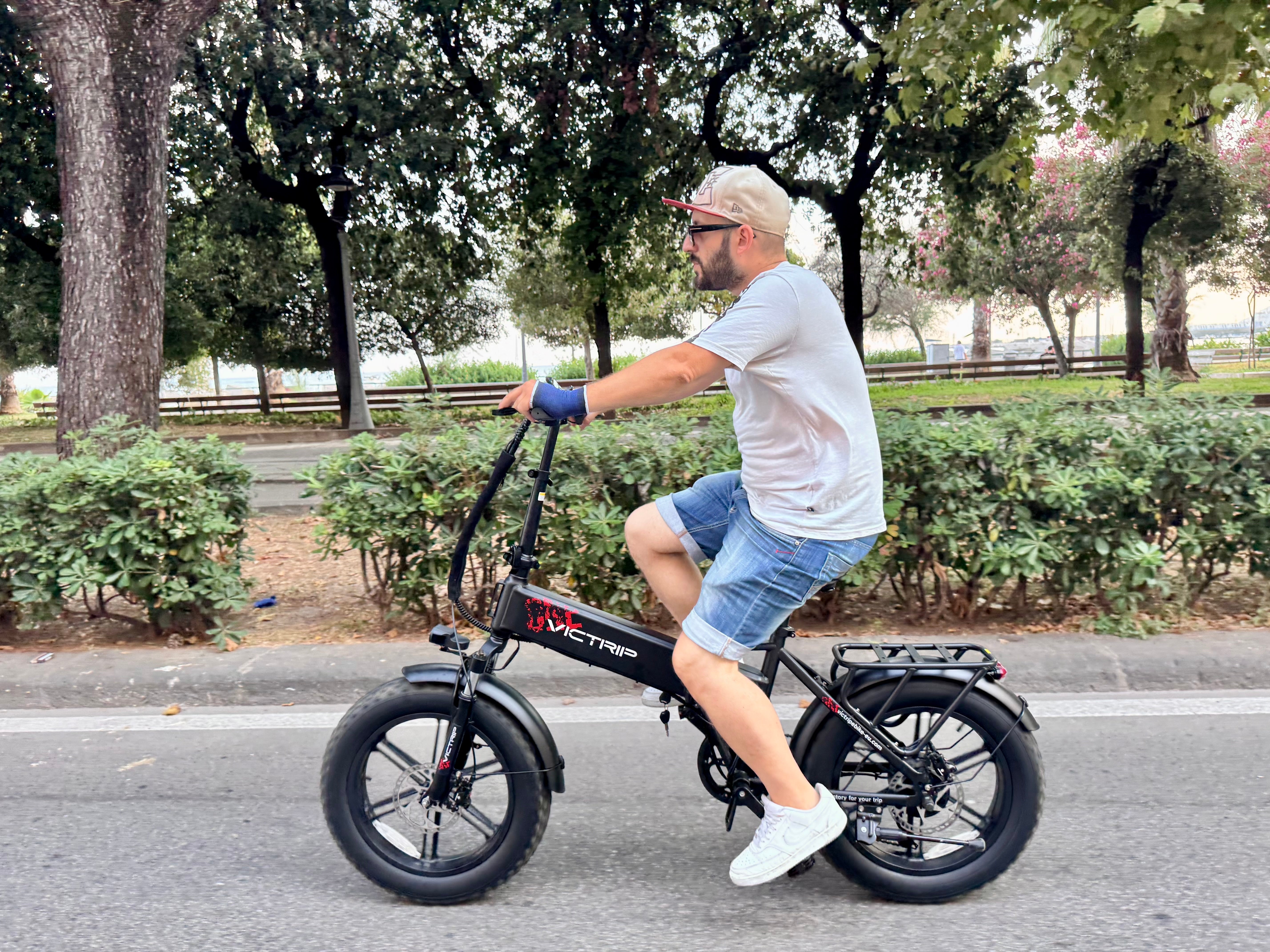 Long Distance Electric Bicycle 250W | VICTRIP