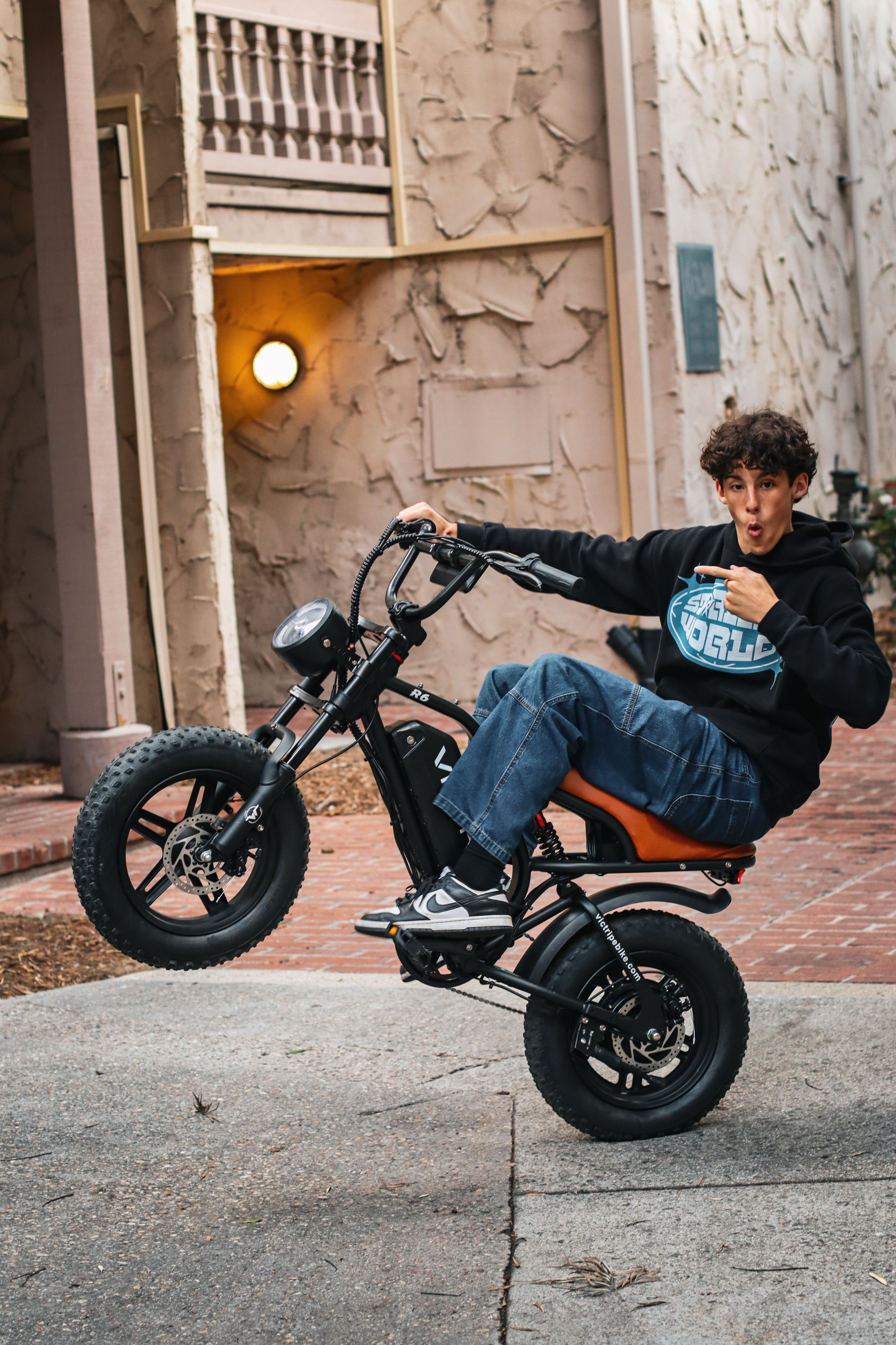 Hybrid Electric Bicycle​ Moped | VICTRIP