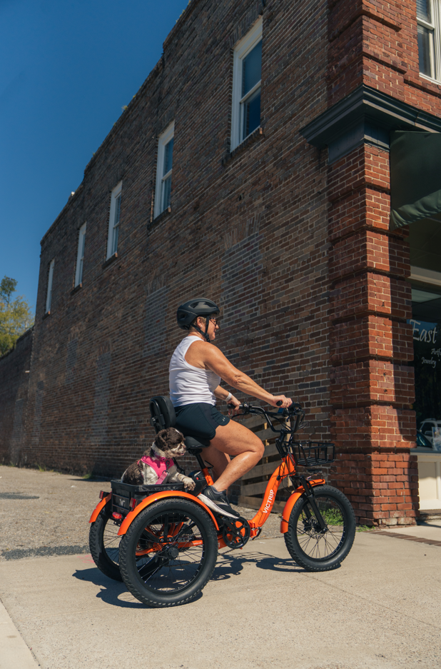 Electric Motorized Tricycle 500W | VICTRIP