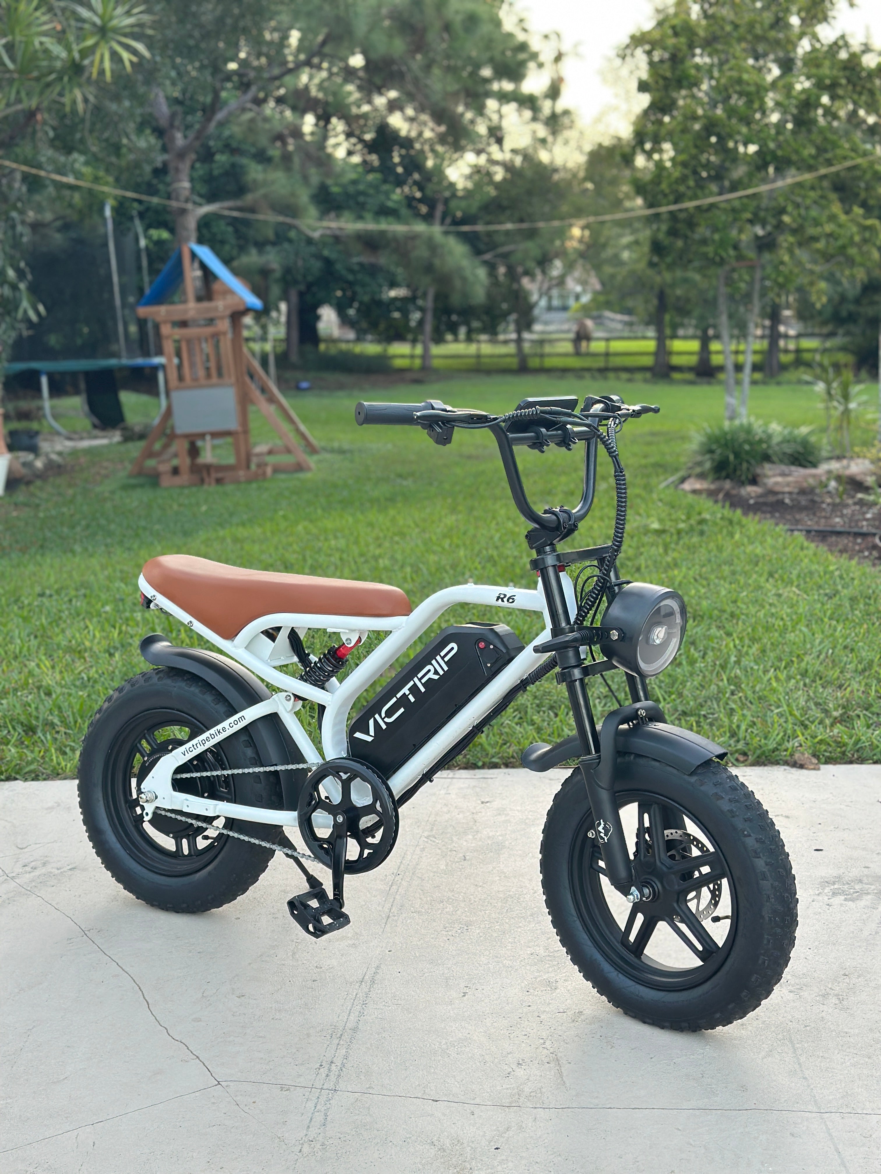 Electric Moped Bicycle​ | VICTRIP