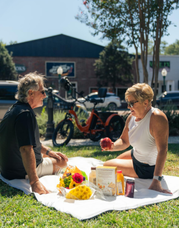 Cargo Electric Trike Folding | VICTRIP