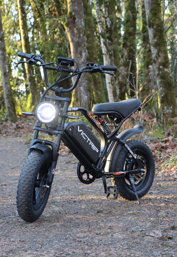 1500w Ebike​ Mini | VICTRIP