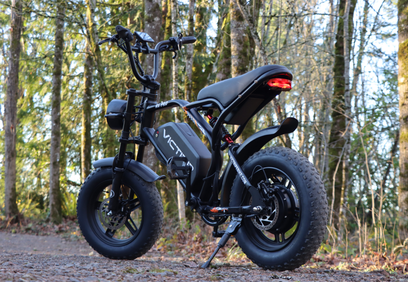 Off Road Electric Bicycle With Suspension | VICTRIP
