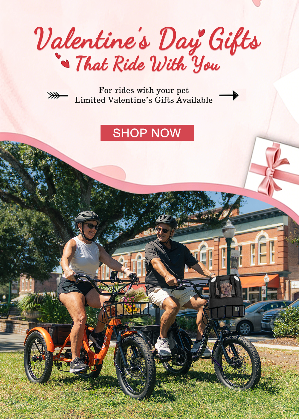 3 Wheeler Electric Trike | VICTRIP