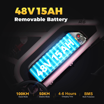 Off Road E Bikes For Adults | VICTRIP