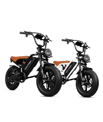 Electric Bike Free Shipping | VICTRIP
