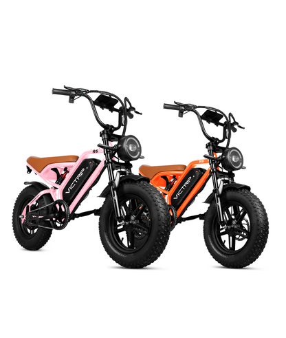 Affordable Electric Bike | VICTRIP