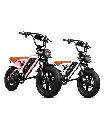 Off Road Electric Bike For Adults | VICTRIP