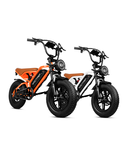 Fat Tire Electric Bike For 2 | VICTRIP