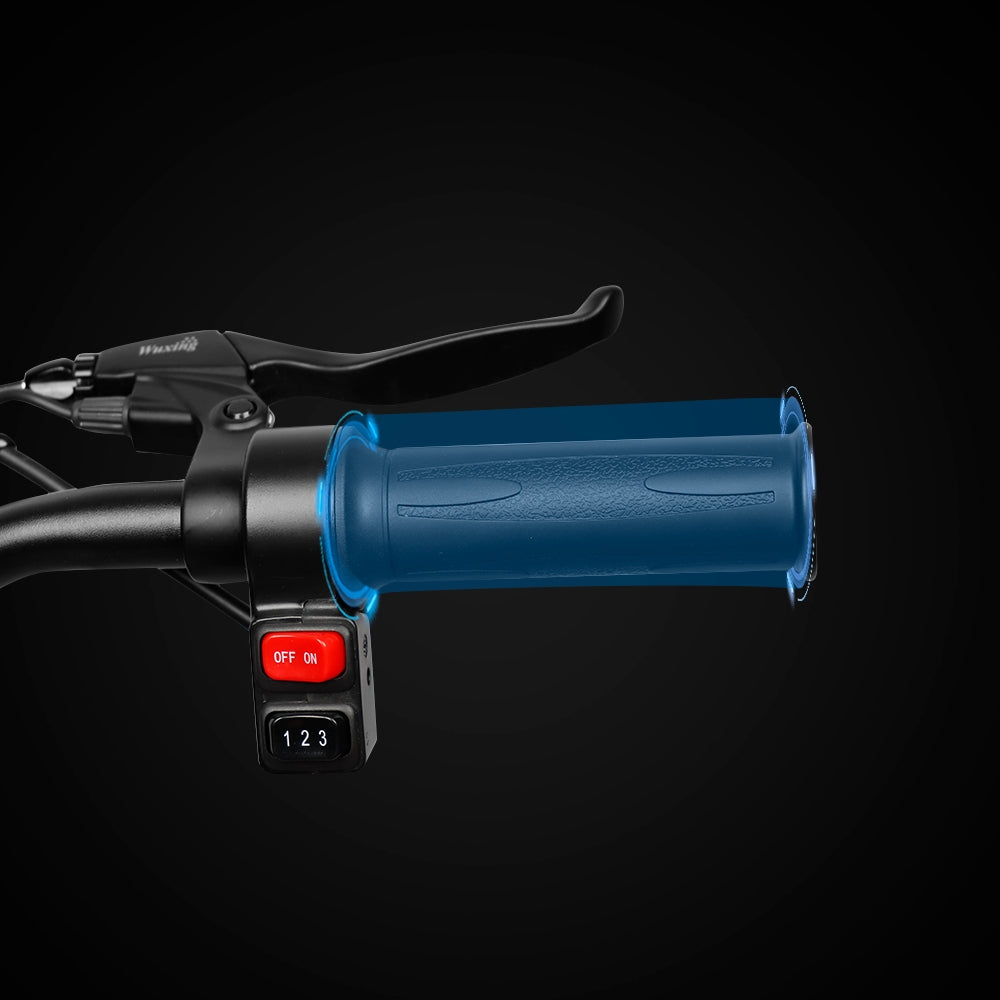 Moped Electric Bike Full Throttle | VICTRIP