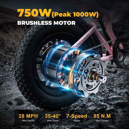 Fat Tire Off Road Ebike 750W | VICTRIP