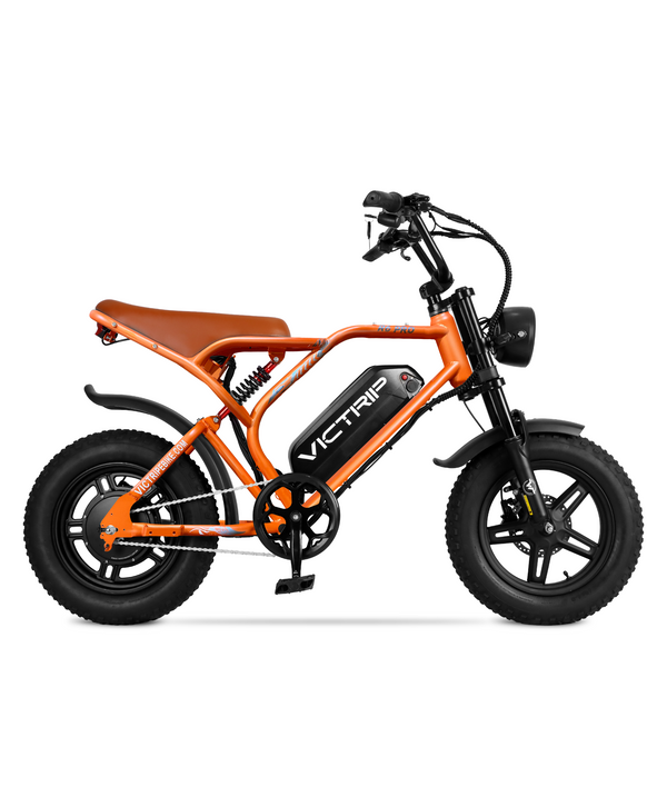 Fat Tire Electric Bike 250 Watt | VICTRIP