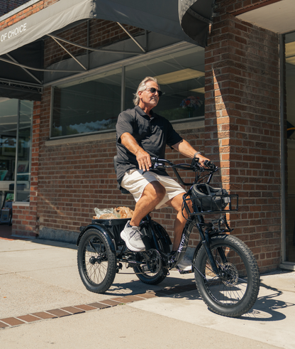 Electric Trike Bike | VICTRIP