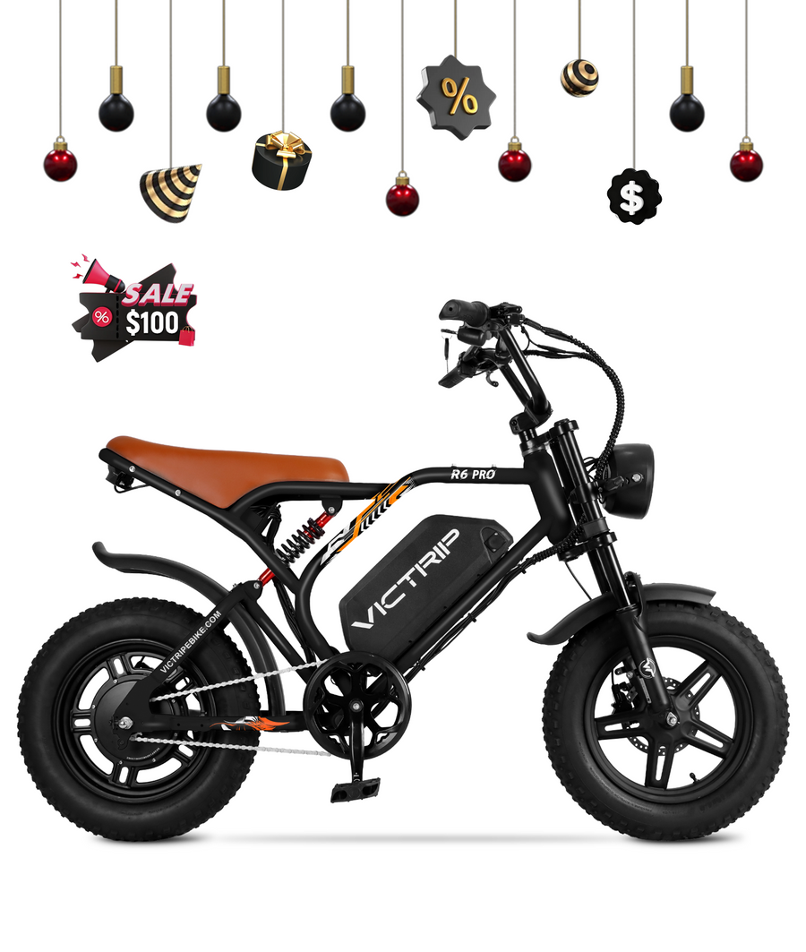 Electric Bike R6-R5 US – VICTRIP EBIKE