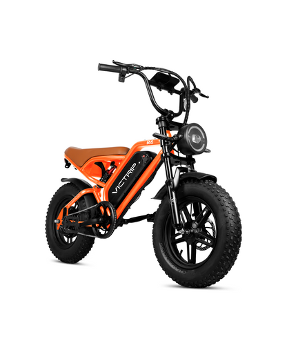 Off-road Electric Bike For Adults | VICTRIP