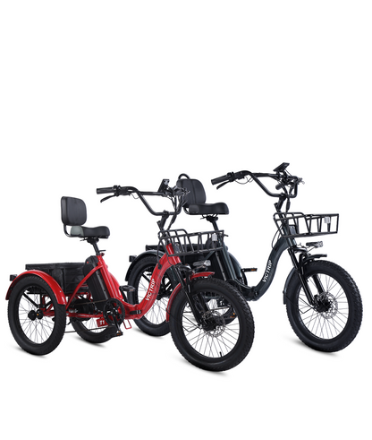 3 Wheel Electric Bike | VICTRIP
