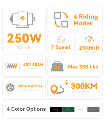 250W Ebike 20 Inch | VICTRIP