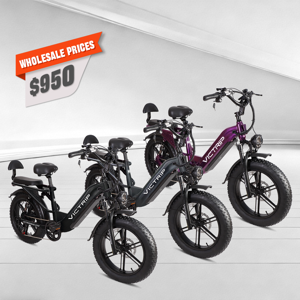 Electric Bicycles With Torque Sensors​ | VICTRIP