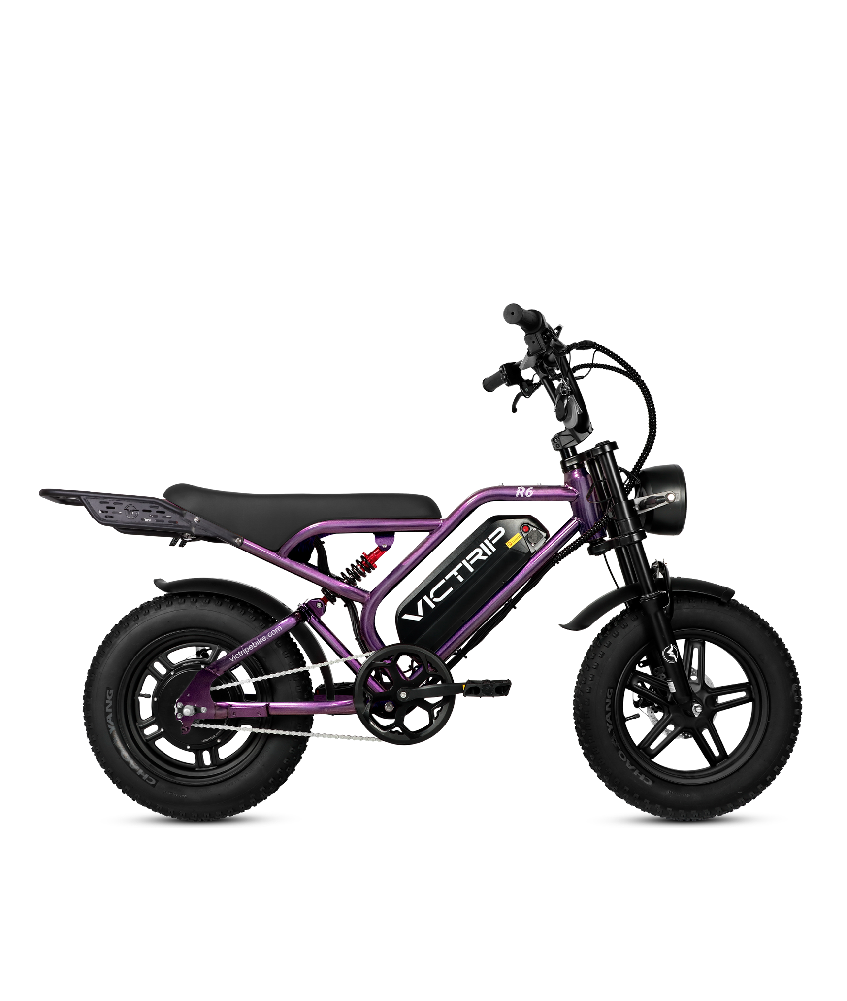 Cargo Electric Bike Cheap​ | VICTRIP