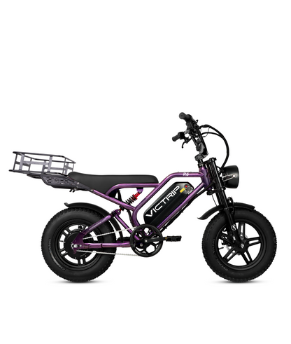 Cargo Electric Bike Fat Tire​ | VICTRIP