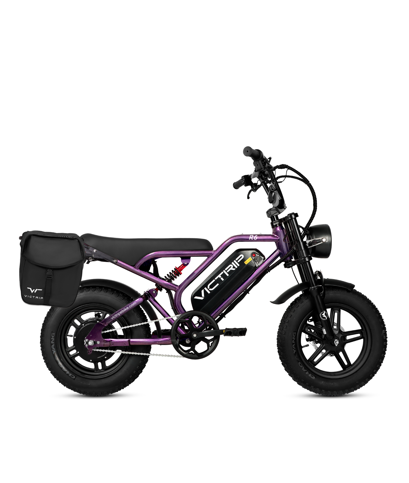 Cargo Electric Bike Full Fus​ | VICTRIP