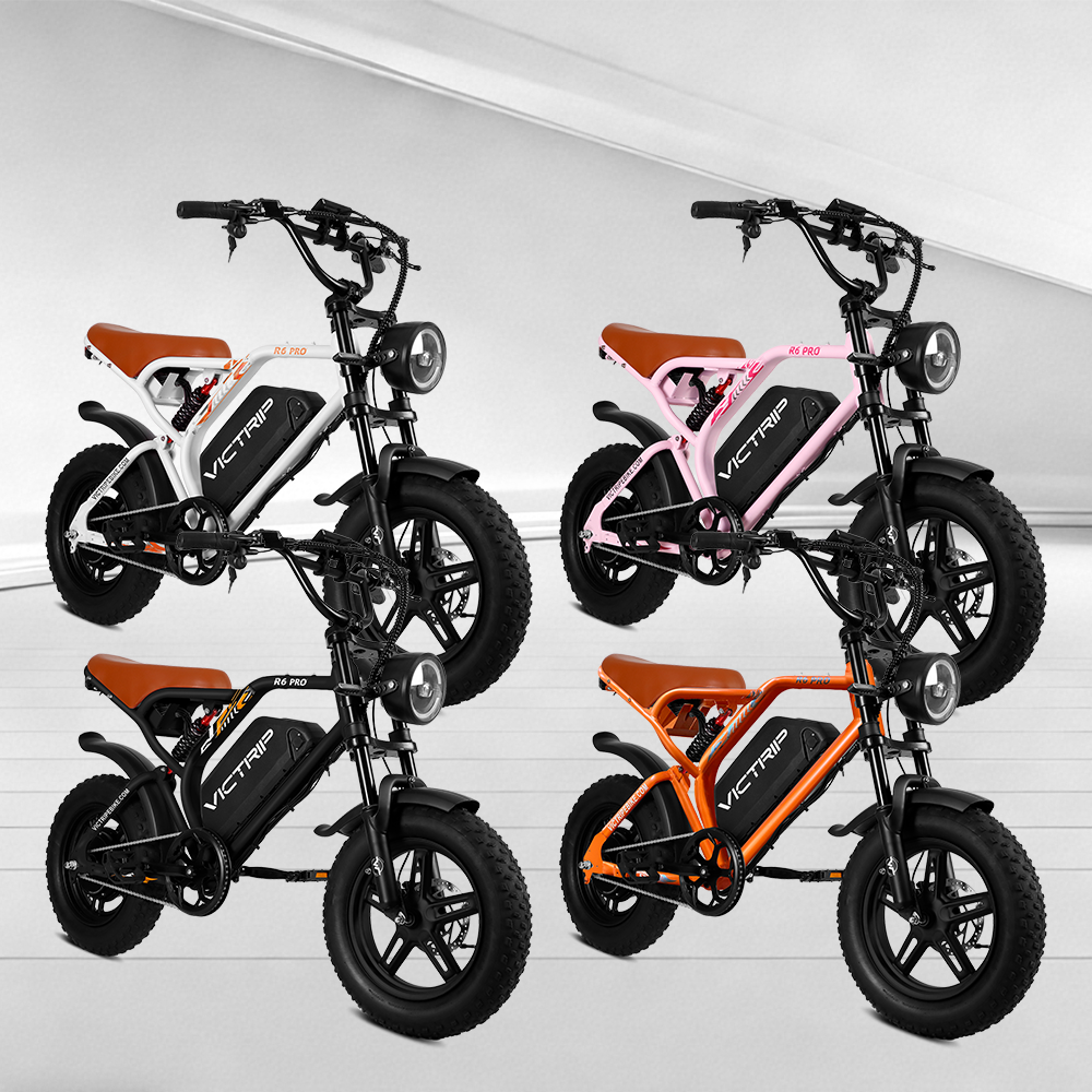 Mini Electric Bike For Adults | VICTRIP