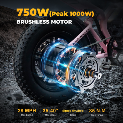 Electric Bike 28 Miles Per Hour