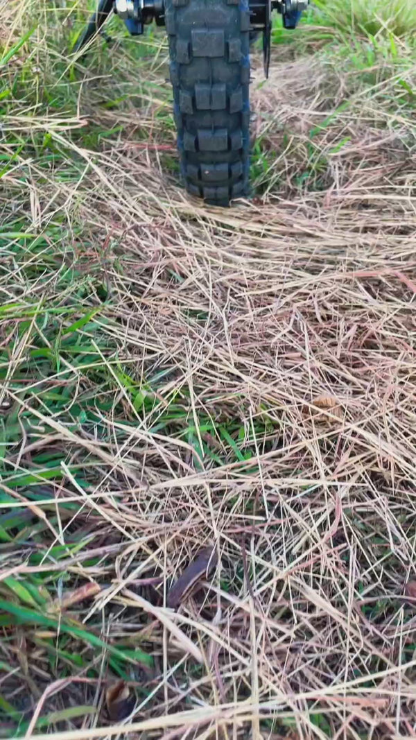 Instagram Video