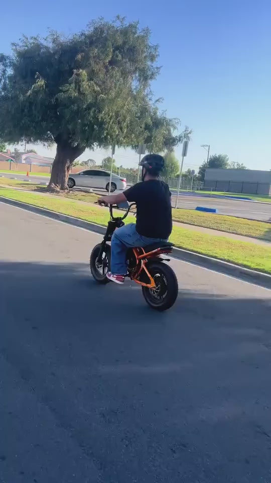 Instagram Video