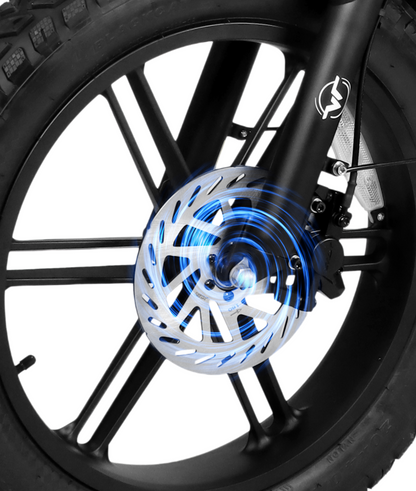 VICTRIP® R5pro Folding Electric Bike