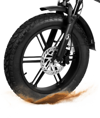 VICTRIP® R5pro Folding Electric Bike