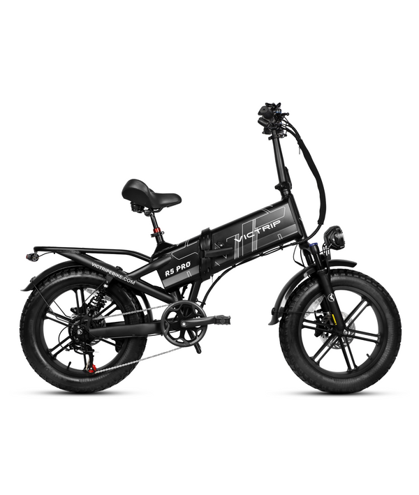 250W Folding Electric Bike | VICTRIP