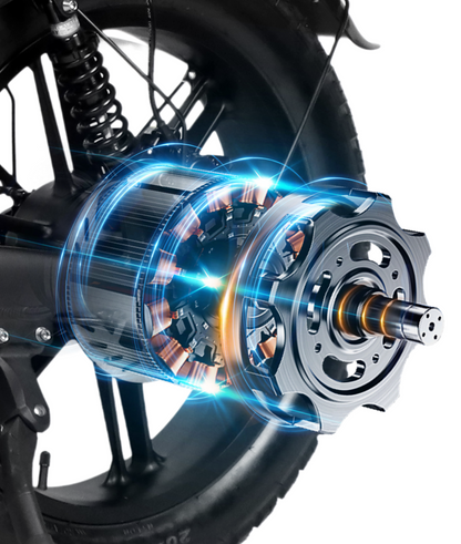 VICTRIP® R5pro Folding Electric Bike