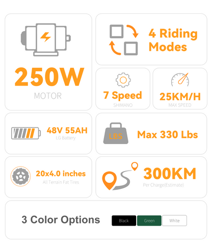 VICTRIP® R5pro Folding Electric Bike