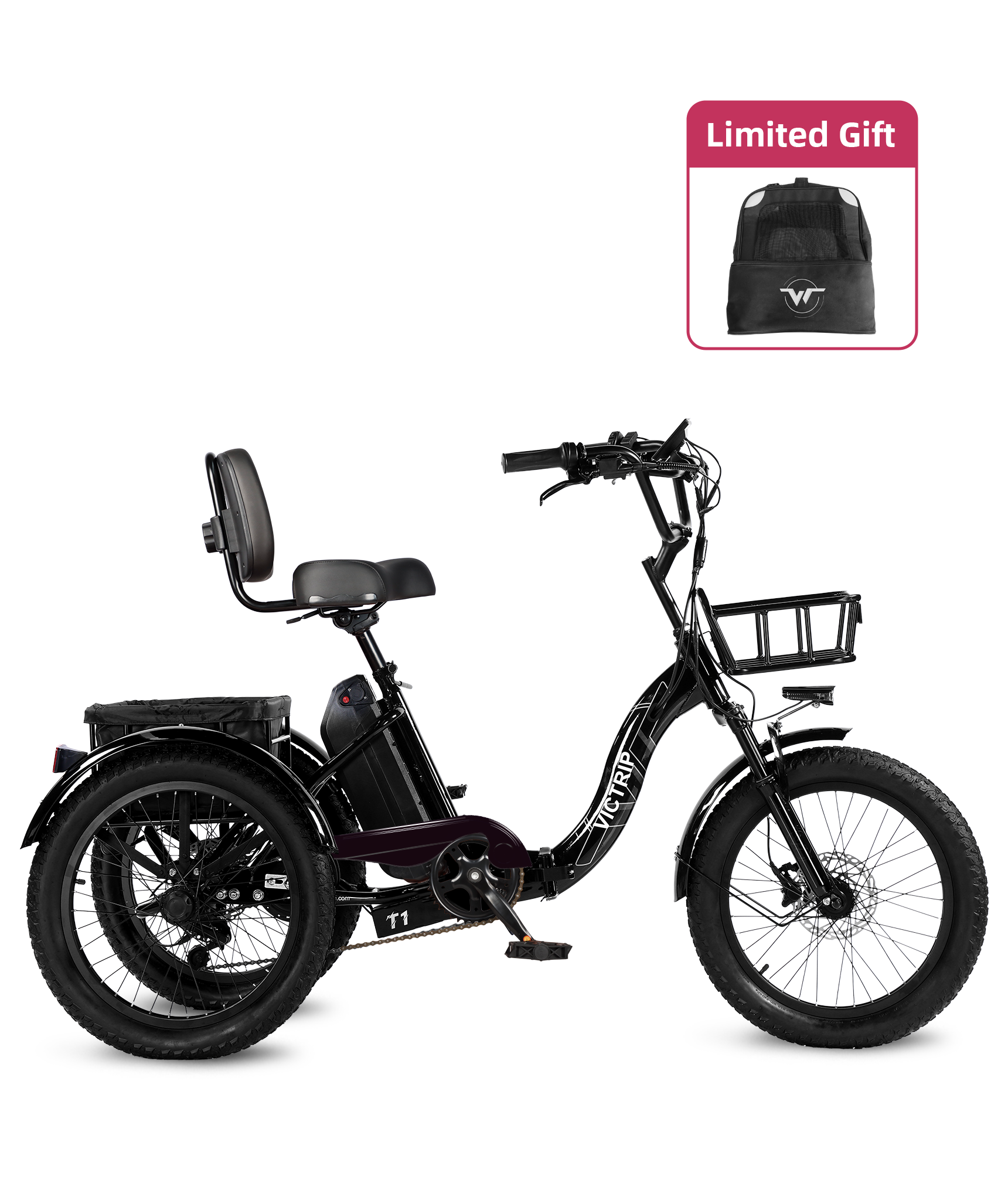 3 Wheel Electric Bike | VICTRIP