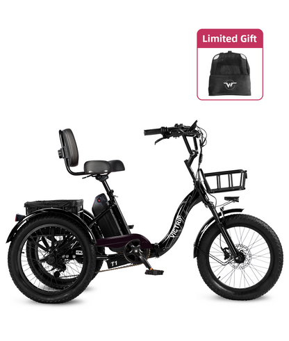 3 Wheel Electric Bike | VICTRIP