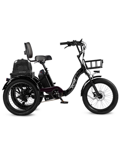 3 Wheel Electric Bike With Pet Carrier Bag​​​ | VICTRIP