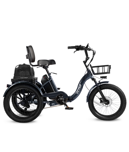 Electric 3 Wheeler​ With Pet Carrier Bag​​​ | VICTRIP