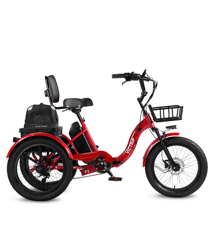 3 Wheel Electric​​​ | VICTRIP
