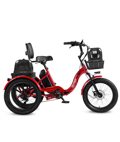 Fat Tire Tricycle​ 750W​ | VICTRIP